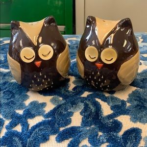 Owl Salt and Pepper shakers